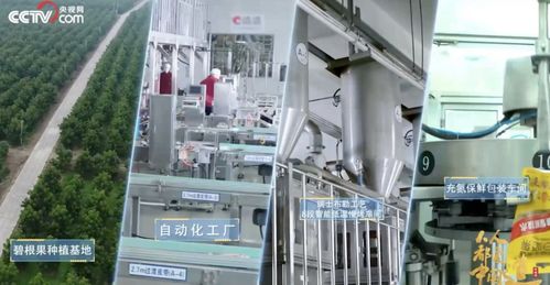 洽洽食品2022年三季度凈利潤達6.27億元，同比增長5.45%，技術服務成新增長點